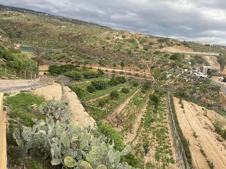 Casa Rural Abuelo Bailon Arico Viejo Hiszpania