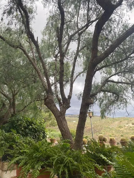 Casa Rural Abuelo Bailon Arico Viejo 0*,  Hiszpania