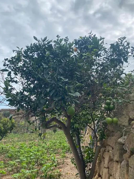 Casa Rural Abuelo Bailon Arico Viejo